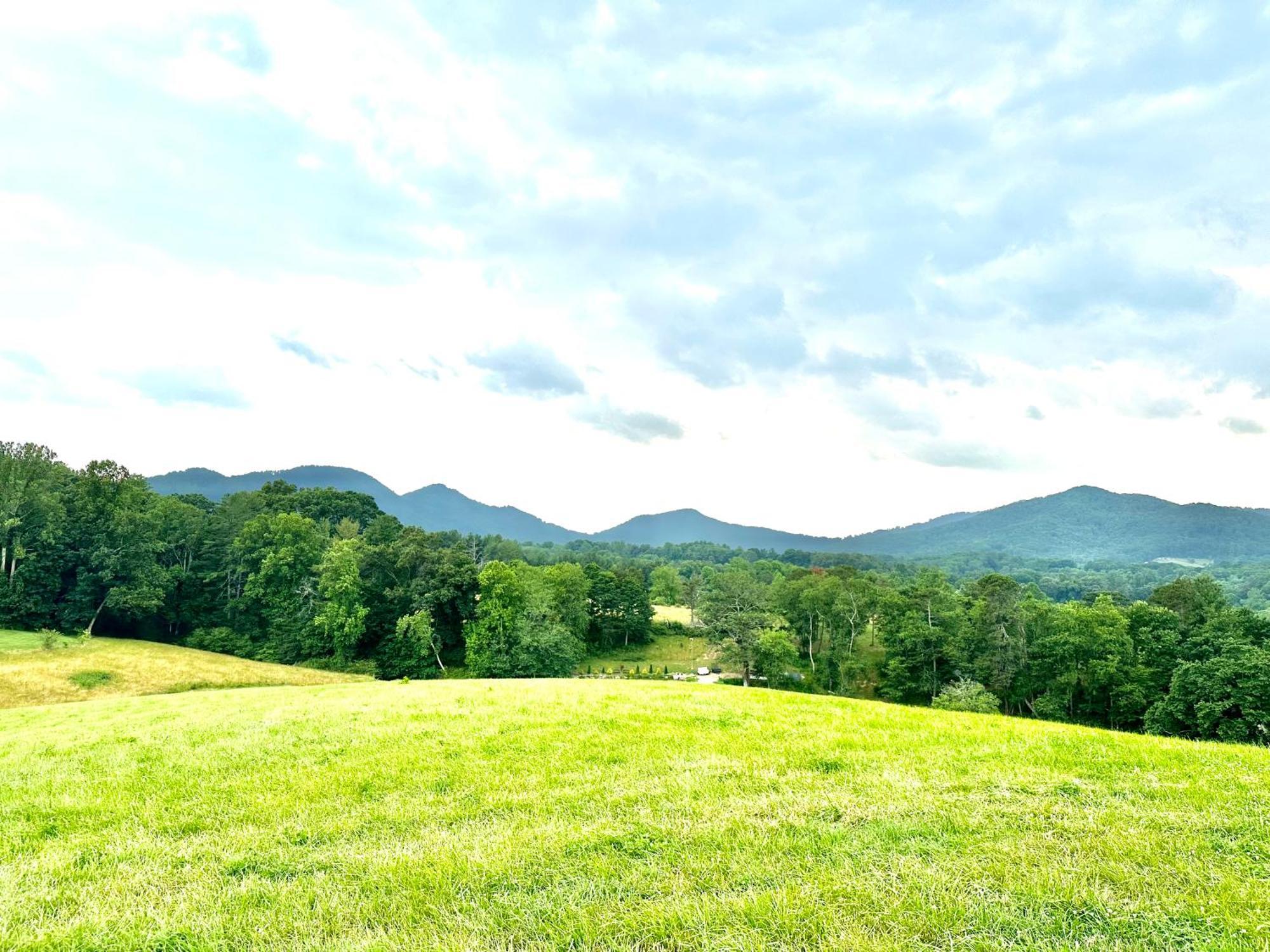 Brand New Built! Pond, Kayaks, Hot Tub,fire Pit,grill… Asheville